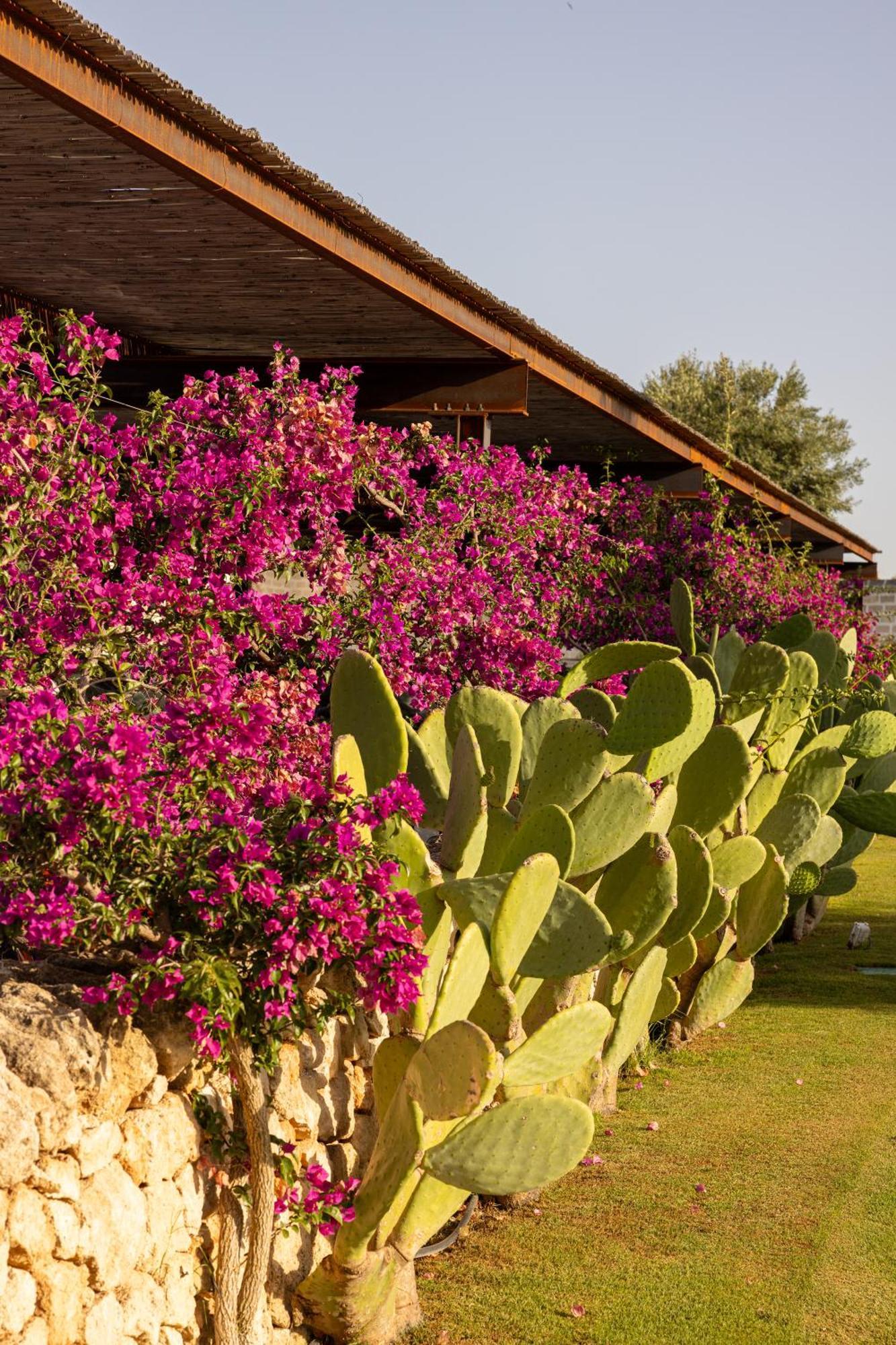Masseria San Francesco Savelletri Ngoại thất bức ảnh